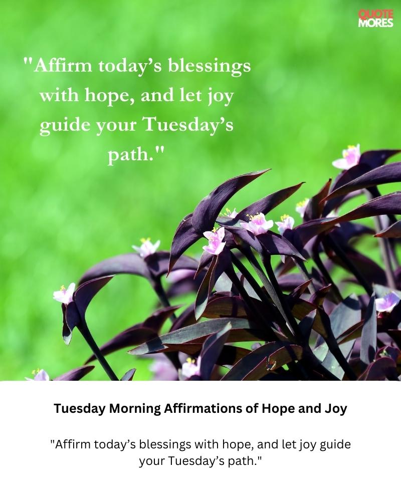 Tuesday Morning Affirmations of Hope and Joy