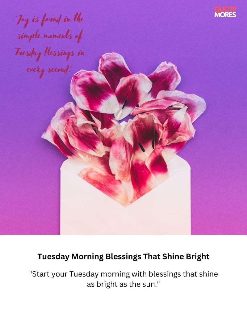 Tuesday Morning Blessings That Shine Bright