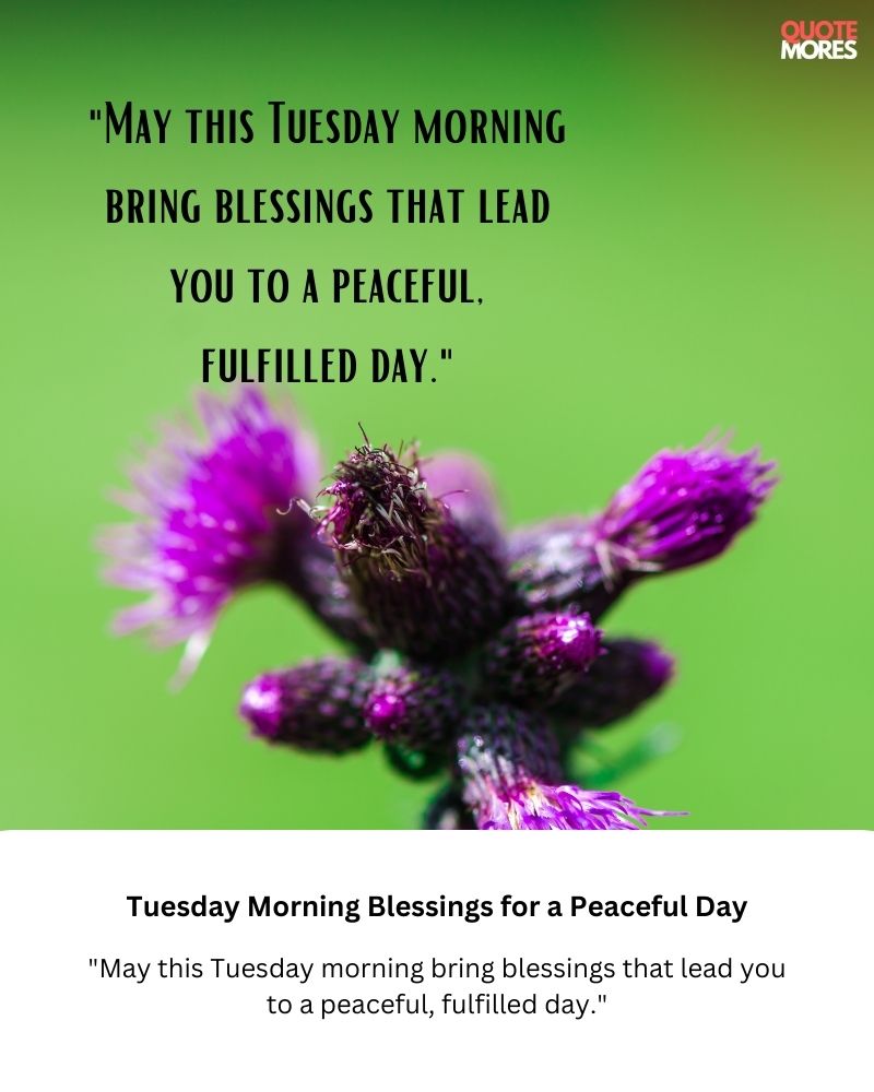 Tuesday Morning Blessings for a Peaceful Day