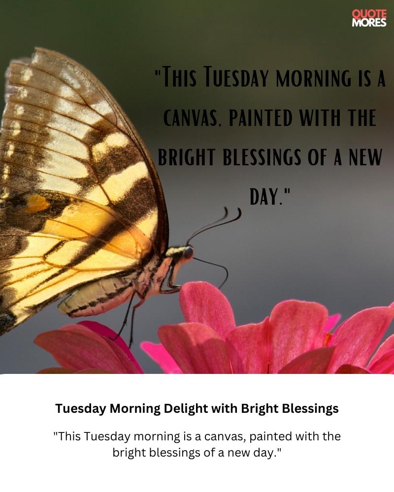 Tuesday Morning Delight with Bright Blessings