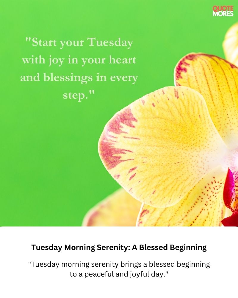 Tuesday Morning Serenity A Blessed Beginning