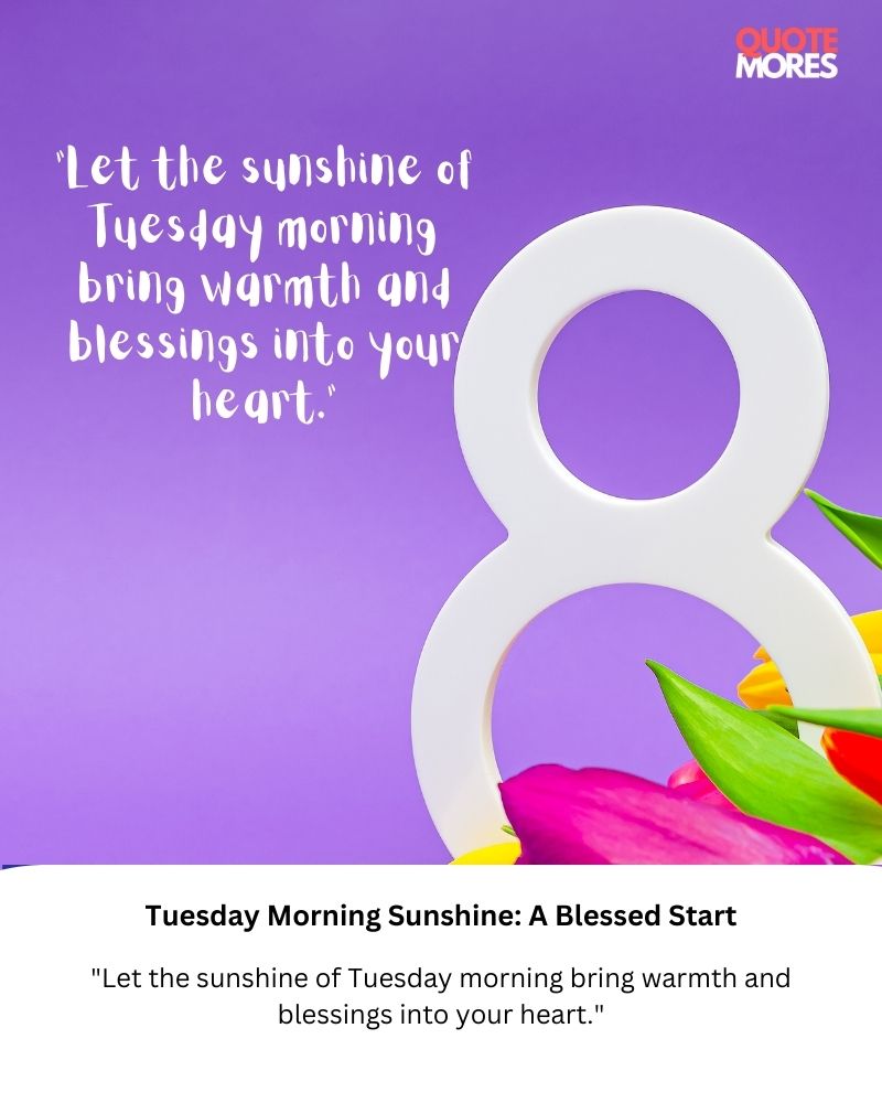 Tuesday Morning Sunshine A Blessed Start