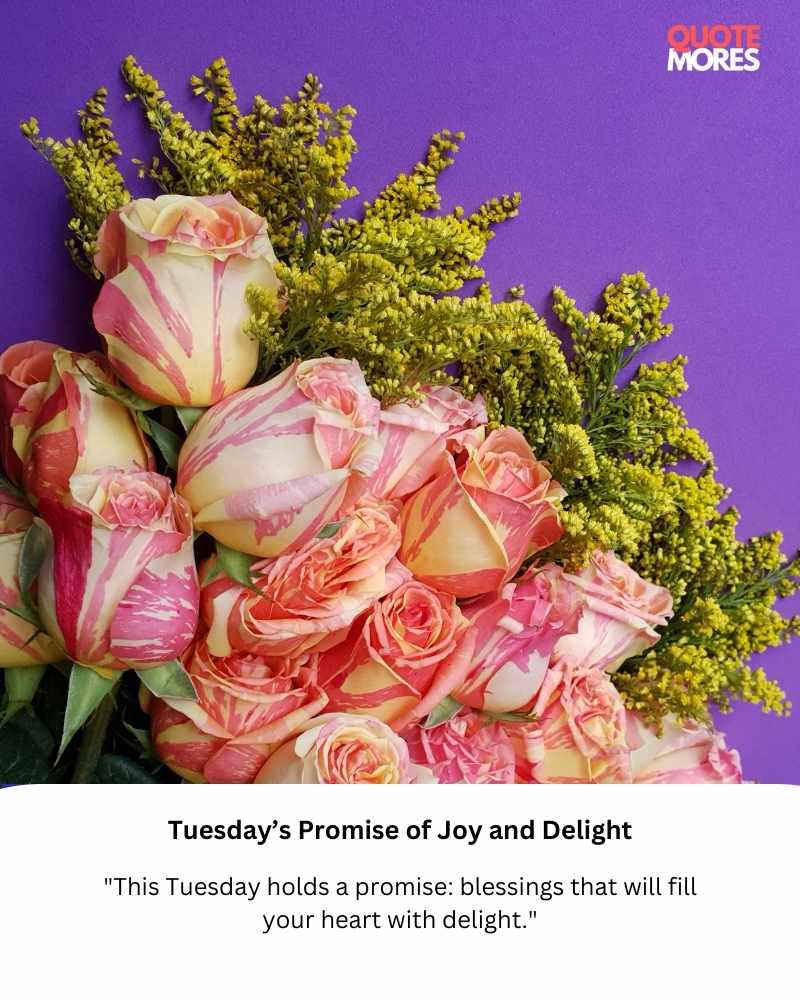 Tuesday’s Promise of Joy and Delight