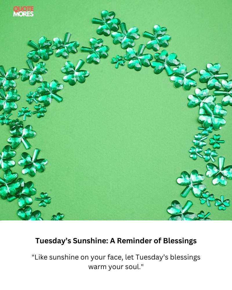 Tuesday’s Sunshine A Reminder of Blessings