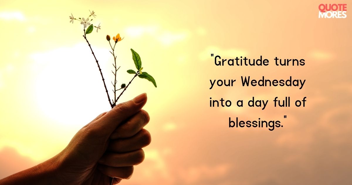 Wednesday Morning Blessings for Gratitude 