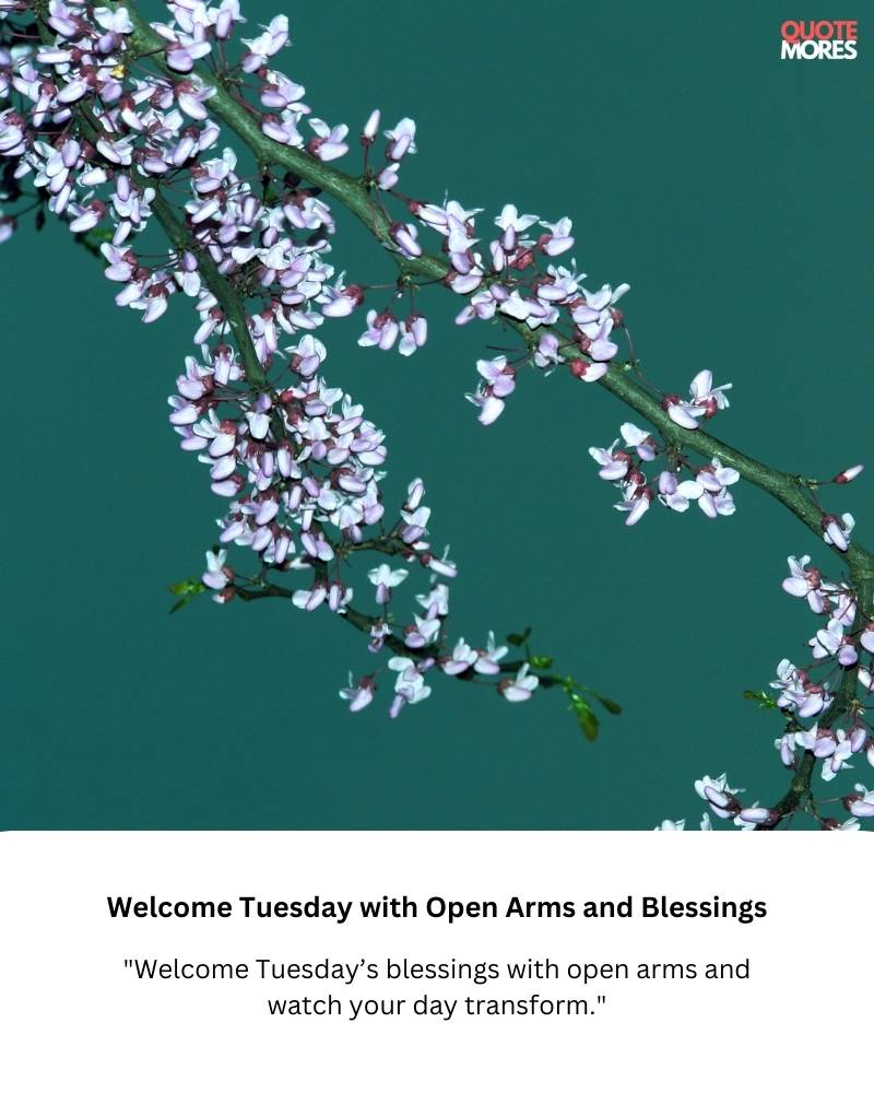 Welcome Tuesday with Open Arms and Blessings