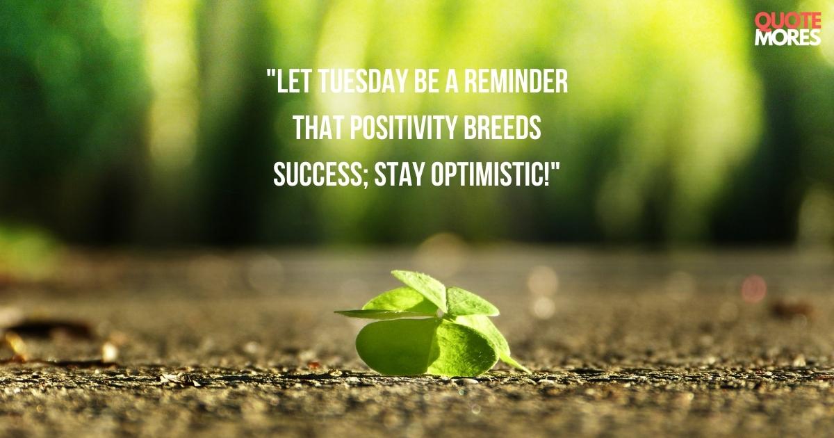 positive-quotes-for-tuesday