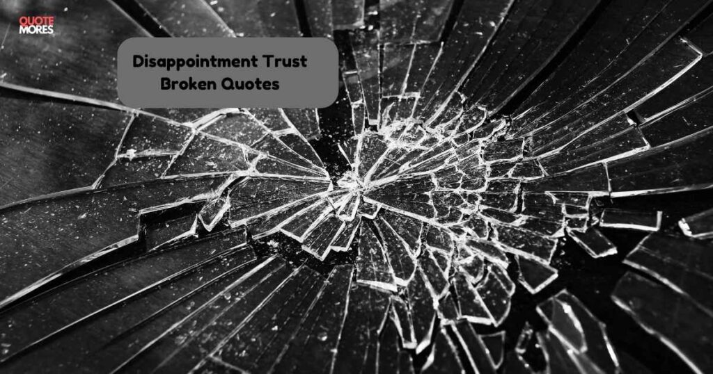 Disappointment Trust Broken Quotes