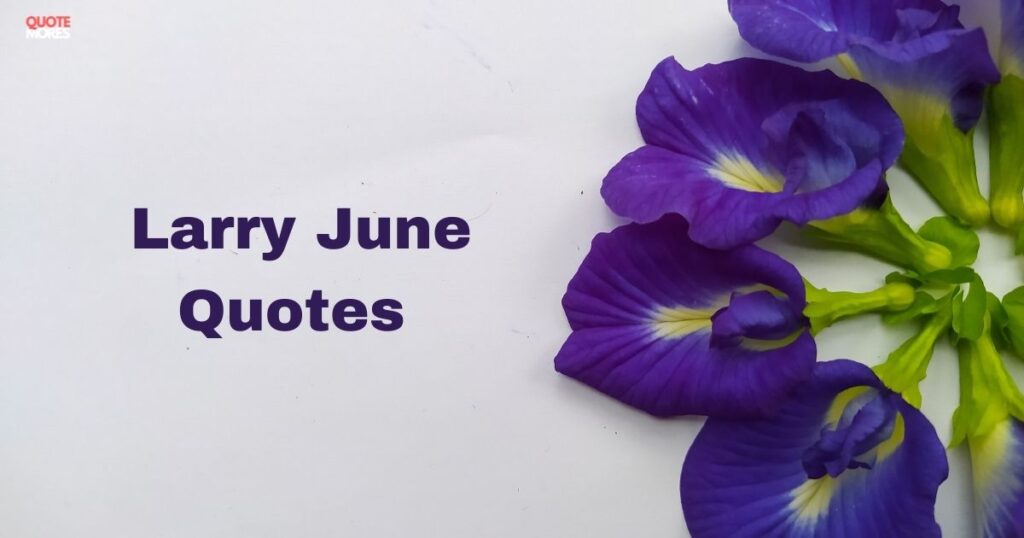 Larry June Quotes