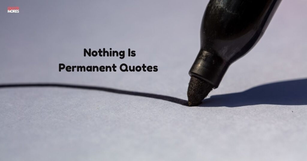 _Nothing Is Permanent Quotes