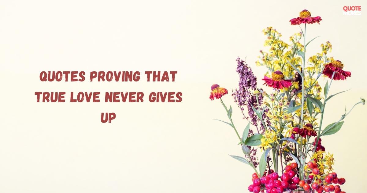 Quotes Proving That True Love Never Gives Up 