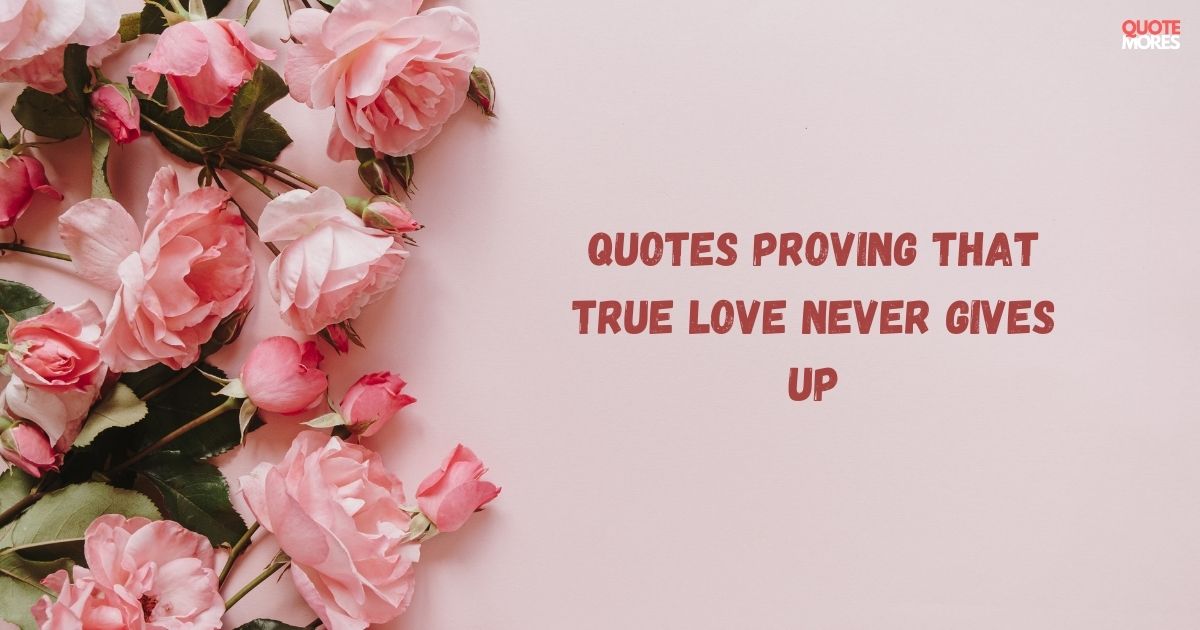 Quotes Proving That True Love Never Gives Up