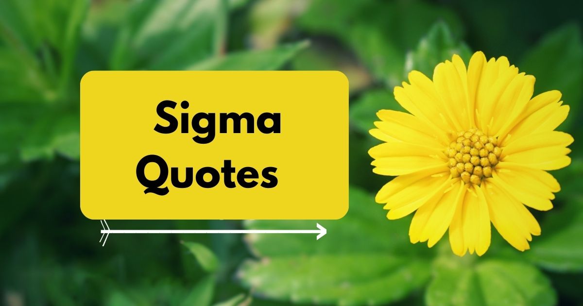 _Sigma Quotes