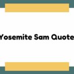 Yosemite Sam Quotes