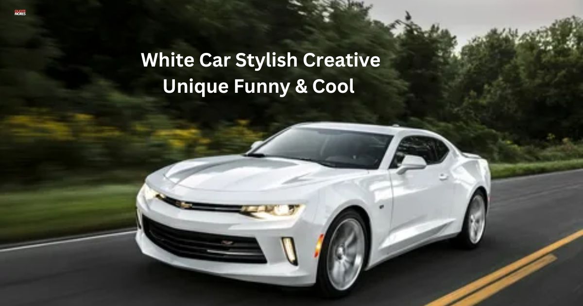 600+ White Car Names Stylish Creative Unique Funny & Cool
