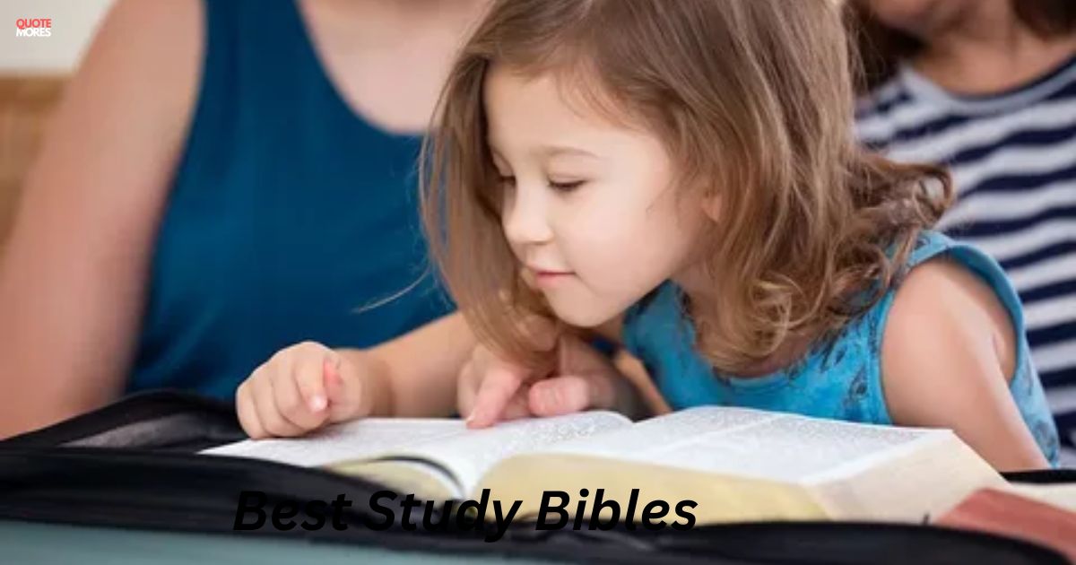 Best Study Bibles